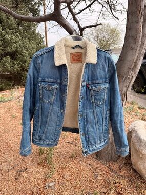 Levi’s Type lll Sherpa Jean Trucker Jacket